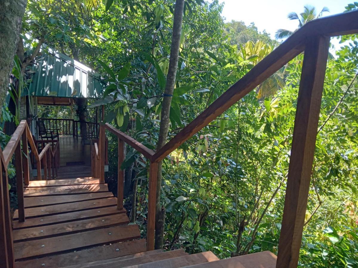 Cinnamon View Lodge 米瑞莎 外观 照片
