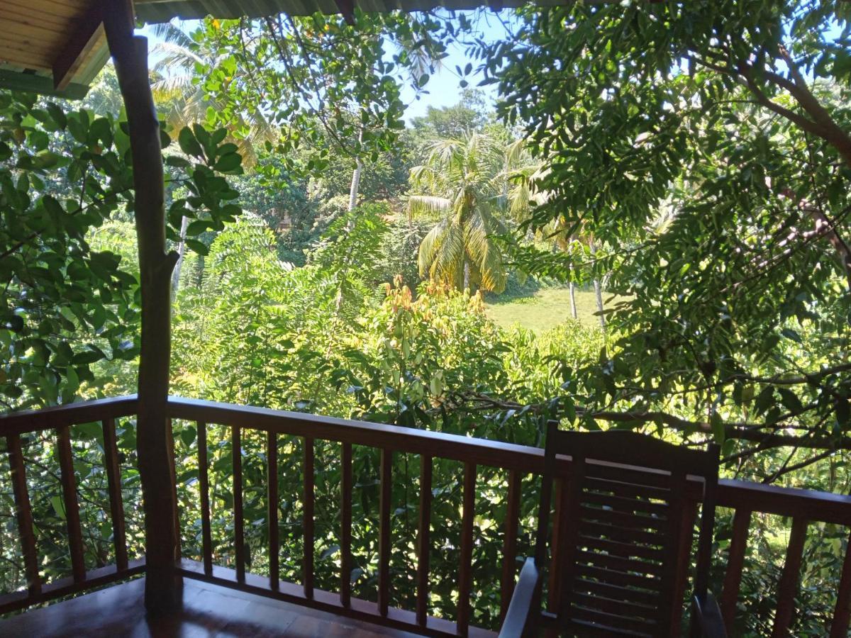 Cinnamon View Lodge 米瑞莎 外观 照片
