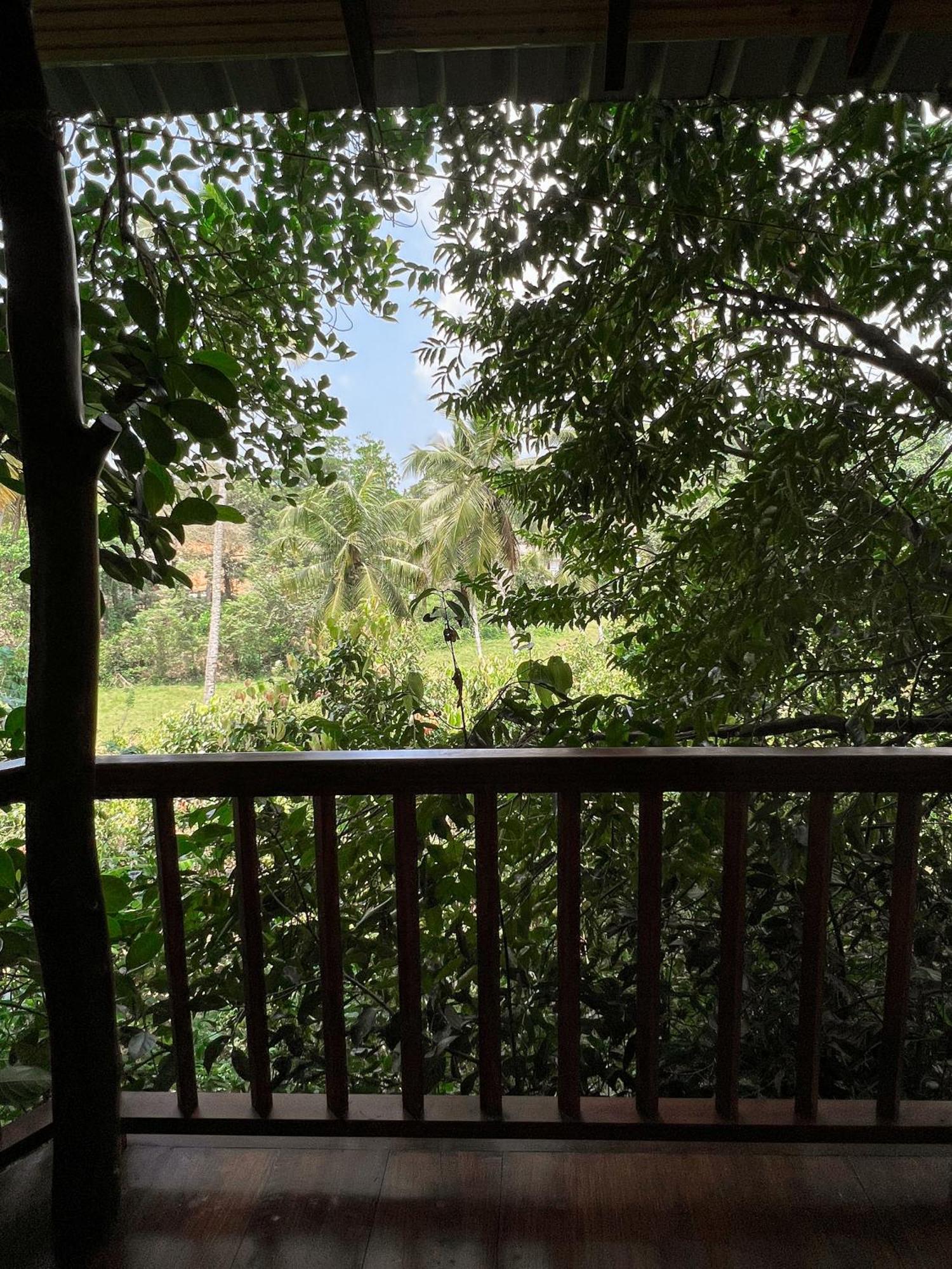 Cinnamon View Lodge 米瑞莎 客房 照片